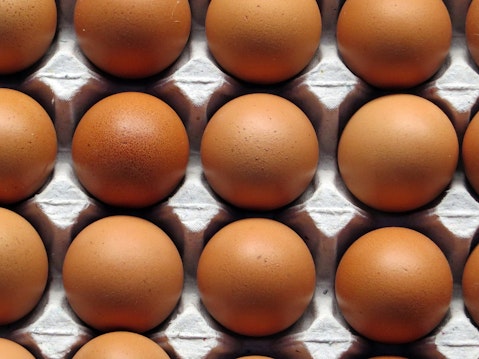 20 States That Produce the Most Eggs in the US