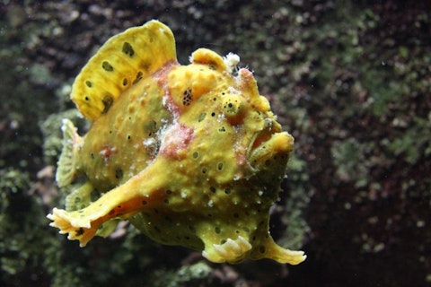 bierchen/Shutterstock.com