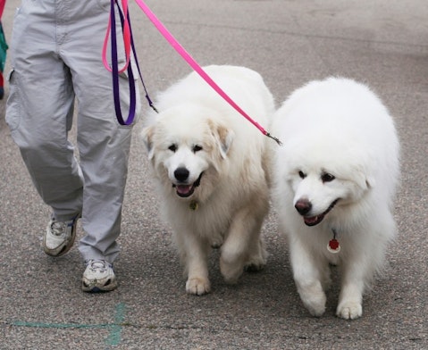 11 Profitable Low Cost Business Ideas for Felons