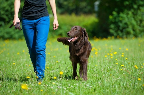 Great Jobs for High Functioning Asperger's Adults