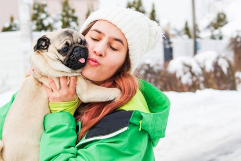 11 Best Emotional Support Dog Breeds For Anxiety