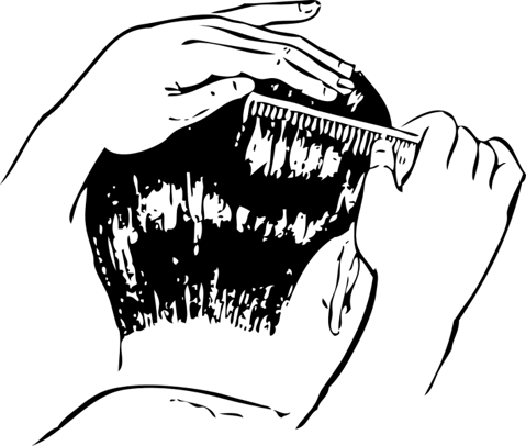 25 Best States For Barbers