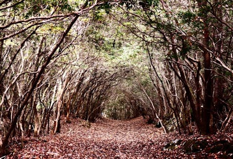 11 Weird and Mysterious Places In The World