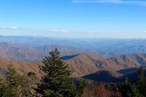 11 Best Places To Visit in USA with Toddlers