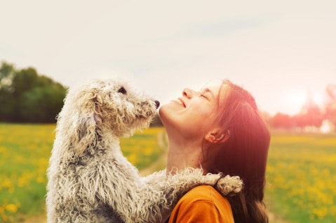 10 Therapy Dog Breeds for Depression and Anxiety