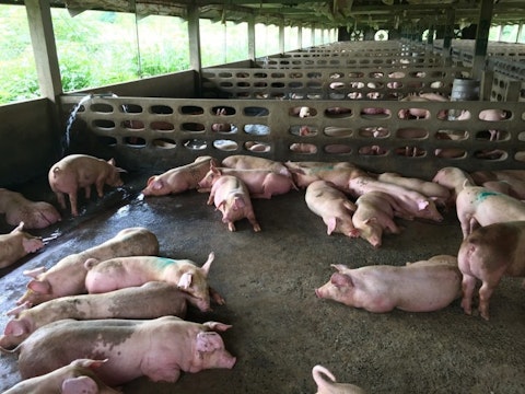 10 States That Produce the Most Pork in America