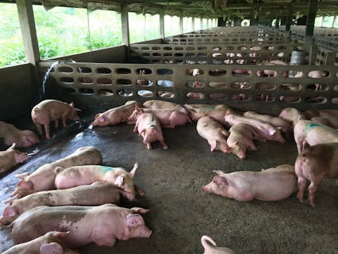 25 Best States For Agricultural Inspectors