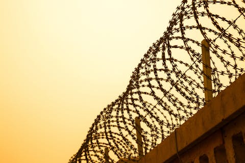 5 States with the Highest Percentage of Illegal Immigrants