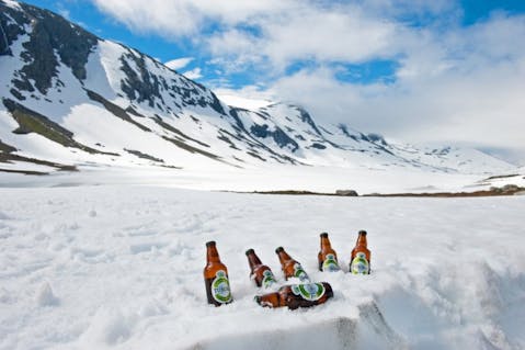 Daria Medvedeva/Shutterstock.com