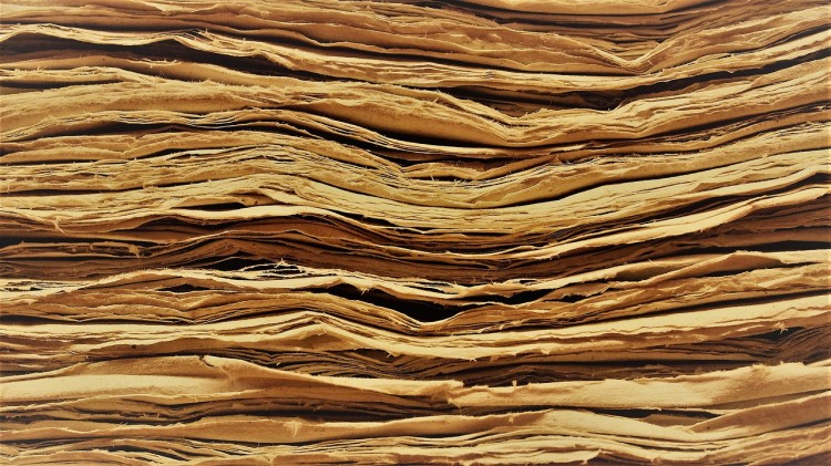  10 Examples of Isolated or Extinct Languages