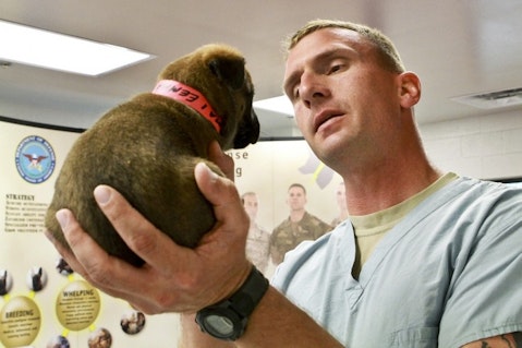 25 Best States For Veterinarians