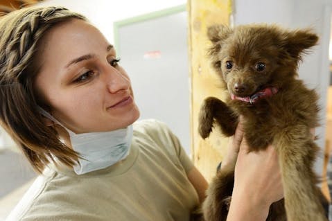 25 Best States For Veterinarians
