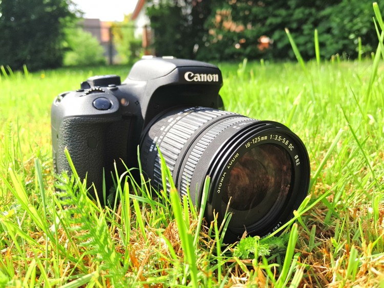 13 Best Small Lightweight Digital SLR Cameras