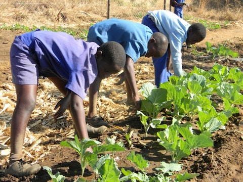 15 Best States For Agricultural Workers