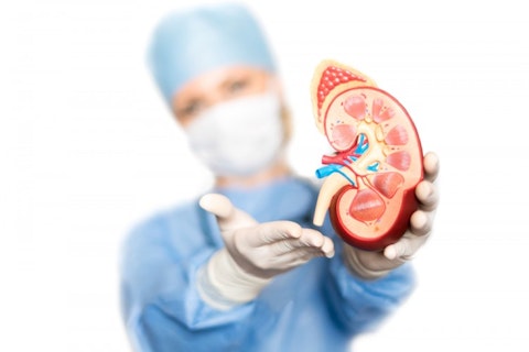 8 Best Countries For Kidney Transplant