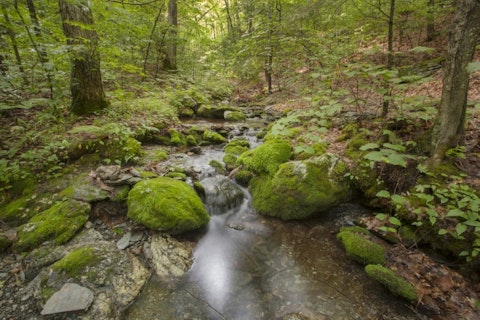 15 Best Places To Visit In US In February