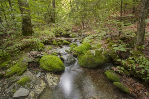 15 Best Places To Visit In US In February