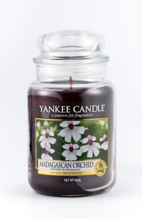 Most Affordable Best Smelling Candles in The World 