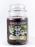 30 Best Selling Yankee Candle Scents and Alternatives