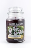 17 Best Selling Yankee Candle Scents in 2020