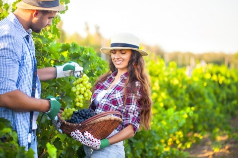 15 Best States For Agricultural Workers