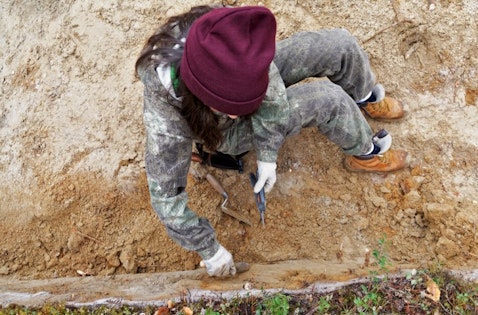 25 Best States For Anthropologists and Archaeologists