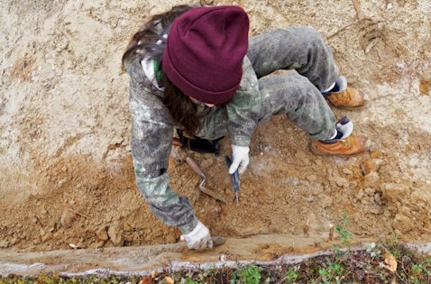 25 Best States For Anthropologists and Archaeologists