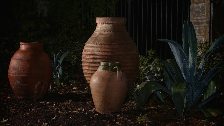 25 Best States For Anthropologists and Archaeologists