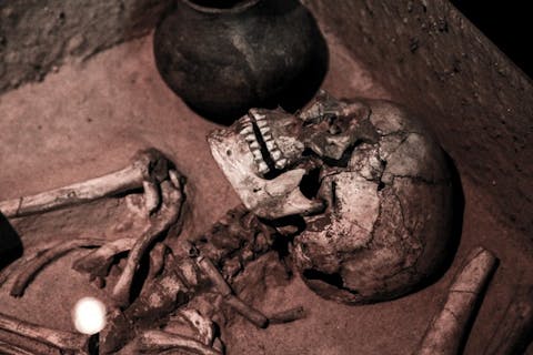 25 Best States For Anthropologists and Archaeologists