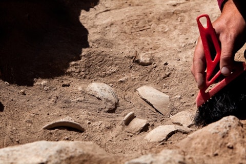 25 Best States For Anthropologists and Archaeologists