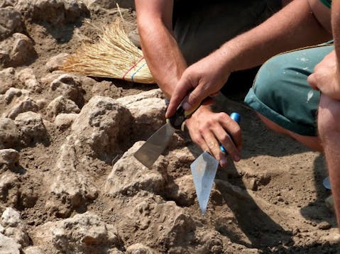 25 Best States For Anthropologists and Archaeologists