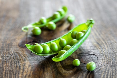 15 Advantages and Disadvantages of Genetically Modified Organisms