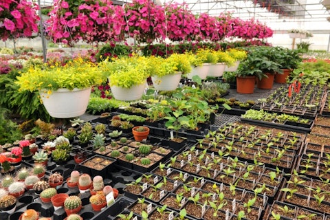 8 Classes for Plant Lovers in NYC