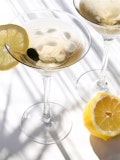 23 Best Gins for a Classic Martini
