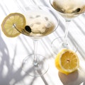 23 Best Gins for a Classic Martini