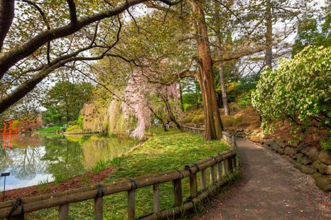 best countries for African Americans to visit