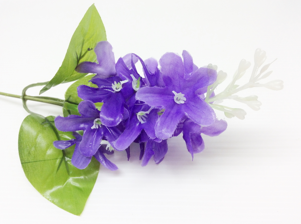 1-800 Flowers (FLWS) Soars 32.8% on Exec Appointment for AI Adoption Efforts