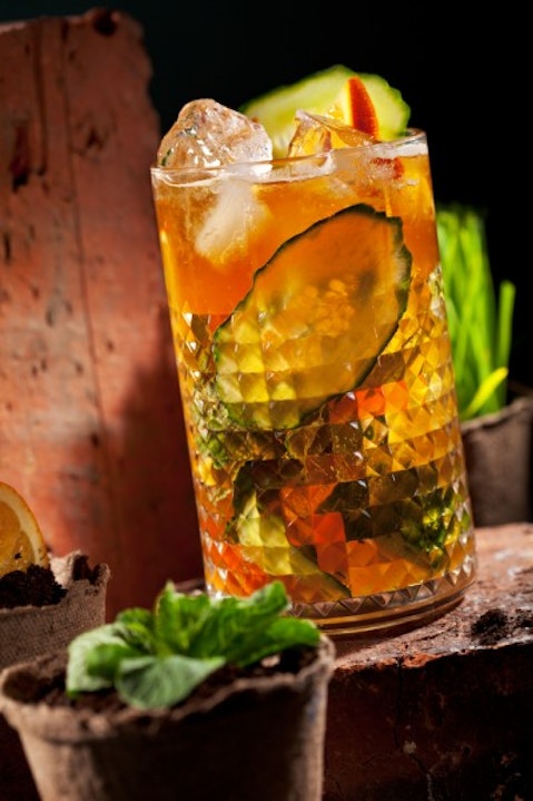 Best Mixology Classes in Brooklyn and Upstate NY