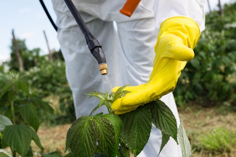 Largest Pest Control Companies in USA