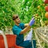 10 Best Vertical Farming and Hydroponic Stocks to Buy