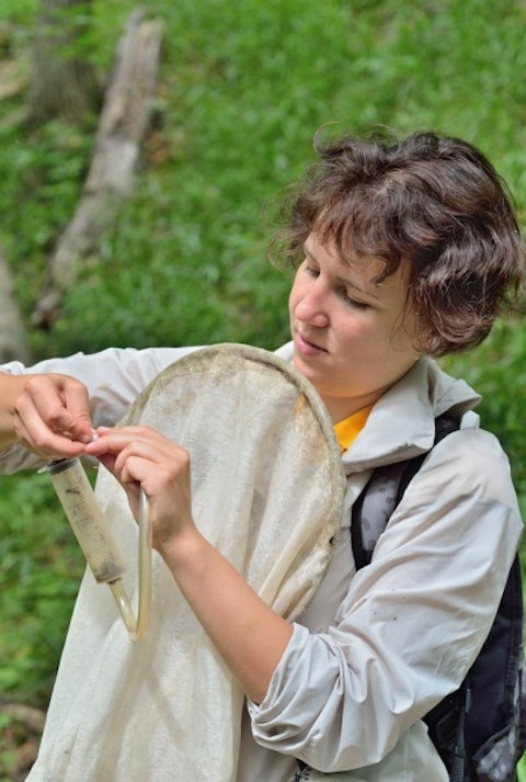 Cities with the Largest White Population in America