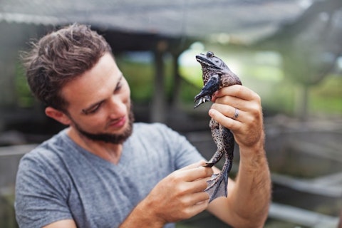 7 Highest Paying Countries for Zoology Jobs