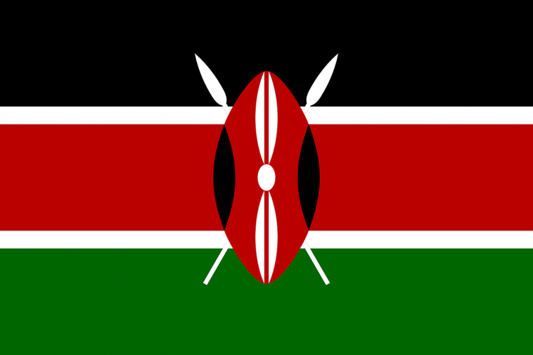 10 Biggest Countries Where Suicide is Illegal