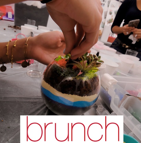 Credit: Luludi Living Art