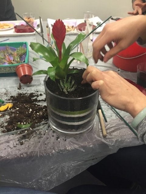 Credit: Luludi Living Art