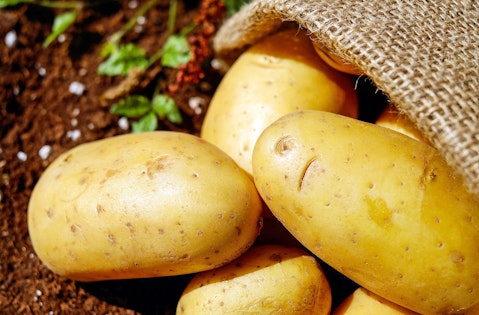 20 States That Produce The Most Potatoes