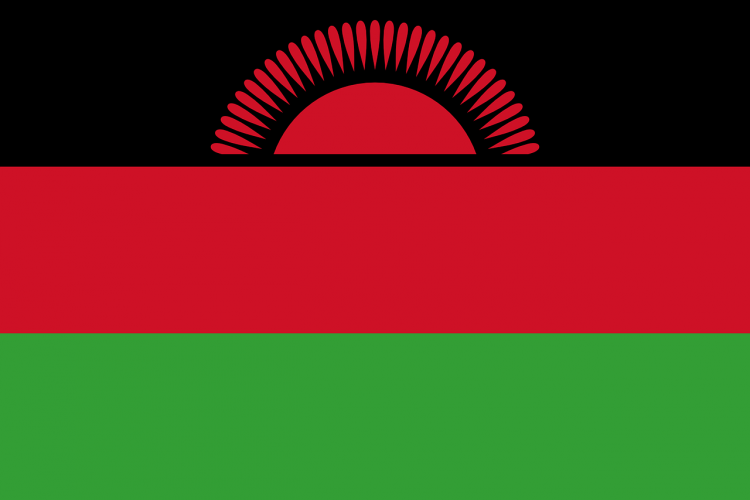 15 Countries That Have the Most AIDS Cases in the World