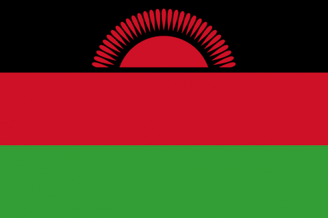 15 Countries That Have the Most AIDS Cases in the World