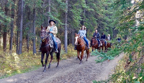 10 Horseback Riding Lessons For Kids and Adults in NYC
