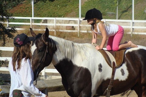 10 Horseback Riding Lessons For Kids and Adults in NYC
